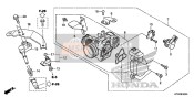 Throttle Body/Fuel Injector